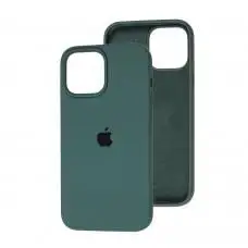 Чохол для iPhone 13 Pro Max Square Full silicone зелений / cactus