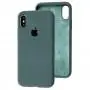 Чехол для iPhone X / Xs Silicone Full зеленый / cactus 