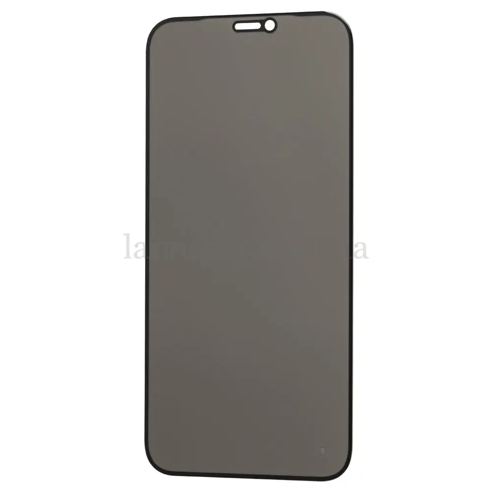Захисне скло для iPhone 12/12 Pro Full Glue Anti-Spy чорне