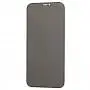 Захисне скло для iPhone 12/12 Pro Full Glue Anti-Spy чорне