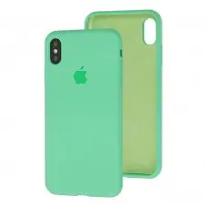 Чехол для iPhone X / Xs Silicone Full зеленый / spearmint