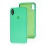 Чохол для iPhone Xs Max Slim Full spearmint