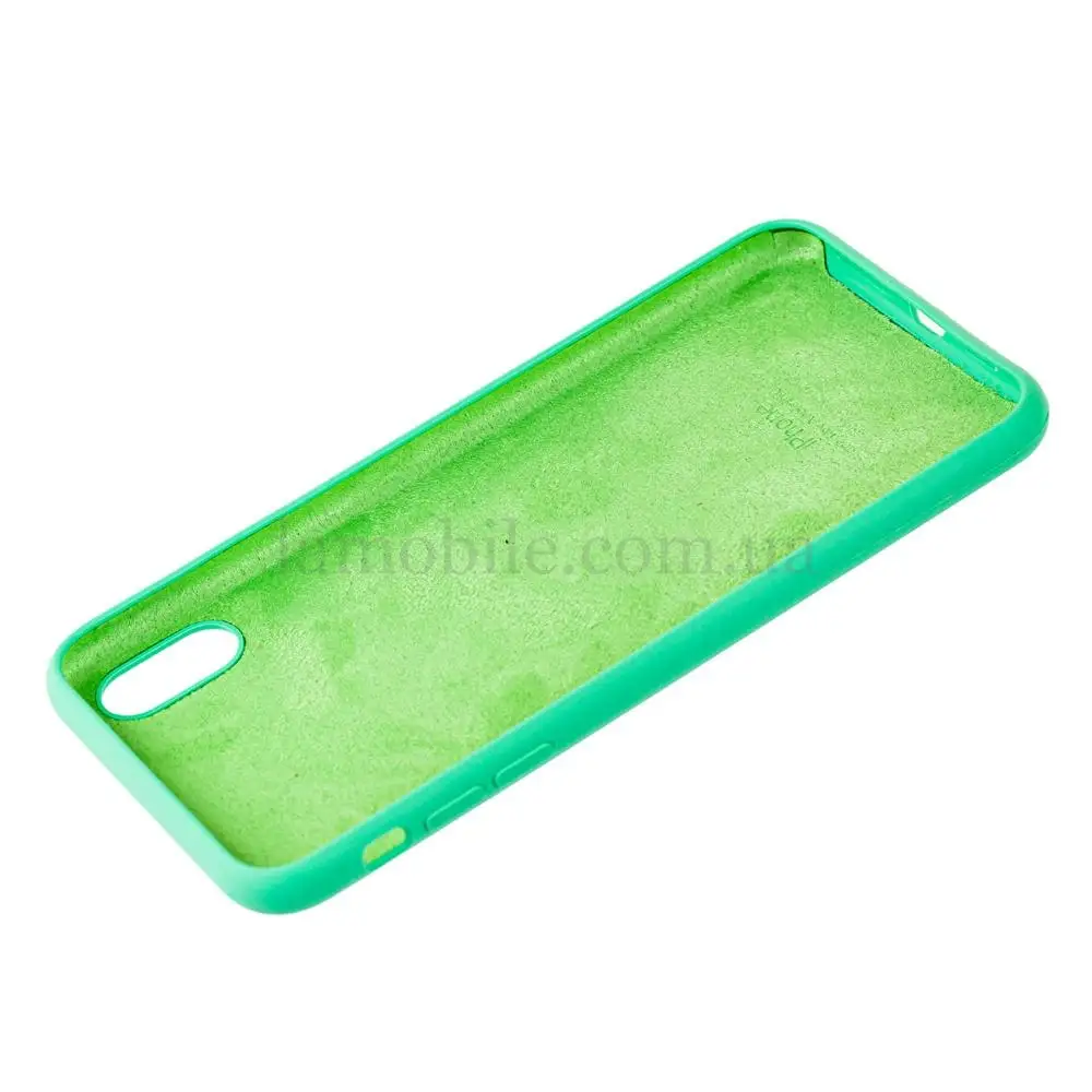 Чохол для iPhone Xs Max Slim Full spearmint