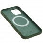 Чохол для iPhone 12 / 12 Pro MagSafe Silicone Full Size cyprus green