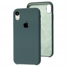 Чехол silicone case для iPhone Xr cactus / зеленый