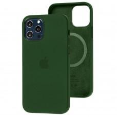 Чехол для iPhone 12 Pro Max Silicone case with MagSafe and Splash Screen cyprus green