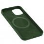 Чехол для iPhone 12 Pro Max Silicone case with MagSafe and Splash Screen cyprus green