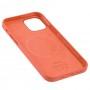 Чехол для iPhone 12/12 Pro Silicone case with MagSafe and Splash Screen pink citrus