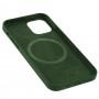 Чохол для iPhone 12/12 Pro Silicone case with MagSafe and Splash Screen cyprus green