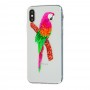 Чехол для iPhone X / Xs попугай