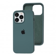 Чехол для iPhone 13 Pro Silicone Full зеленый / cactus