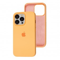 Чехол для iPhone 13 Pro Silicone Full оранжевый / cantaloupe