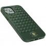 Чохол для iPhone 12 Pro Max Polo Ravel (leather) зелений