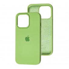 Чехол для iPhone 13 Pro Silicone Full зеленый / mint