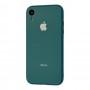 Чохол New glass для iPhone Xr сосновий зелений