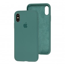 Чохол для iPhone X / Xs Silicone Full зелений / pine green