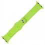 Ремешок Sport Band для Apple Watch 42mm зеленый