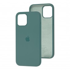 Чохол для iPhone 12 mini Silicone Full зелений / cactus