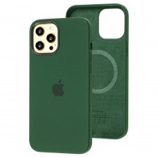 Чехол для iPhone 12 Pro Max MagSafe Silicone Full Size cyprus green