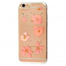 Чехол Nature Flowers для iPhone 6 розовые цветы