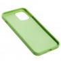 Чехол для iPhone 12 Pro Max Art case зеленый