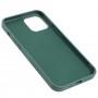 Чехол для iPhone 12 Pro Max Art case темно-зеленый