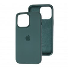 Чехол для iPhone 13 Pro Silicone Full зеленый / pine green