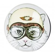 Попсокет для смартфона glass Кішка в окулярах Y536
