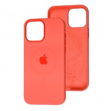 Чехол для iPhone 13 Pro MagSafe Silicone Splash screen pink pomelo