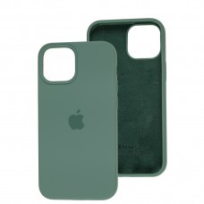Чехол для iPhone 13 mini Silicone Full зеленый / cuctus