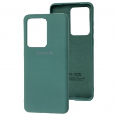 Чехол для Samsung Galaxy S20 Ultra (G988) Silicone Full pine greene